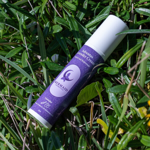 lavendar cream