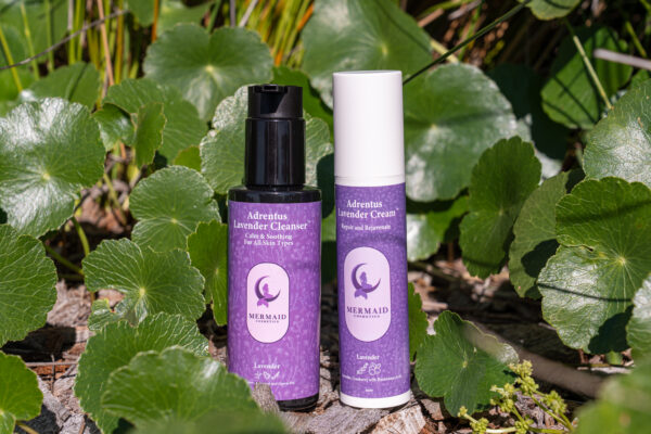 Lavender Bundle