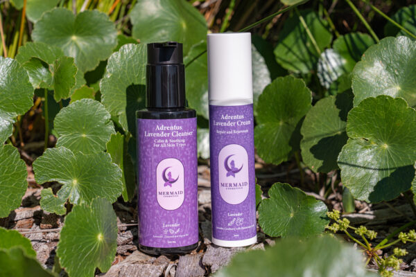 Lavender Bundle