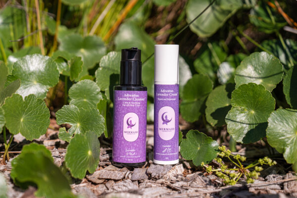 Lavender Bundle